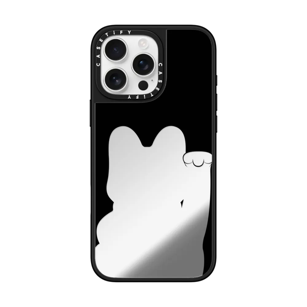 iPhone 16 Series
